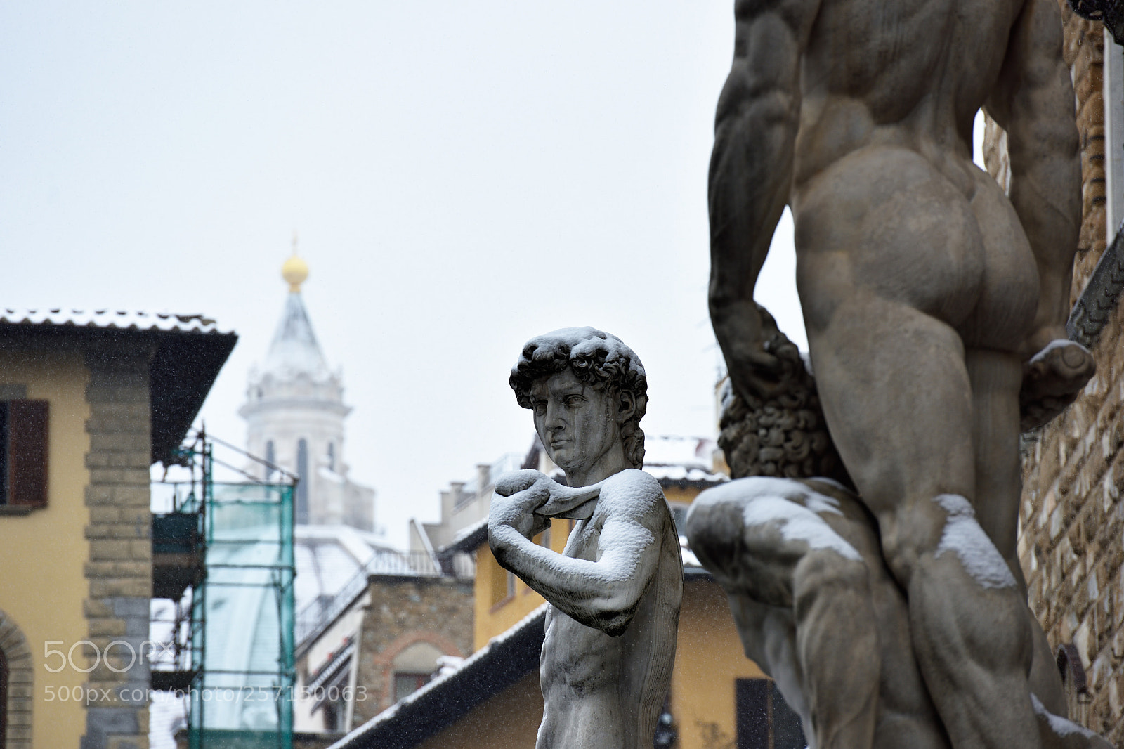 Nikon D810 sample photo. Florence white 2018 xvii photography