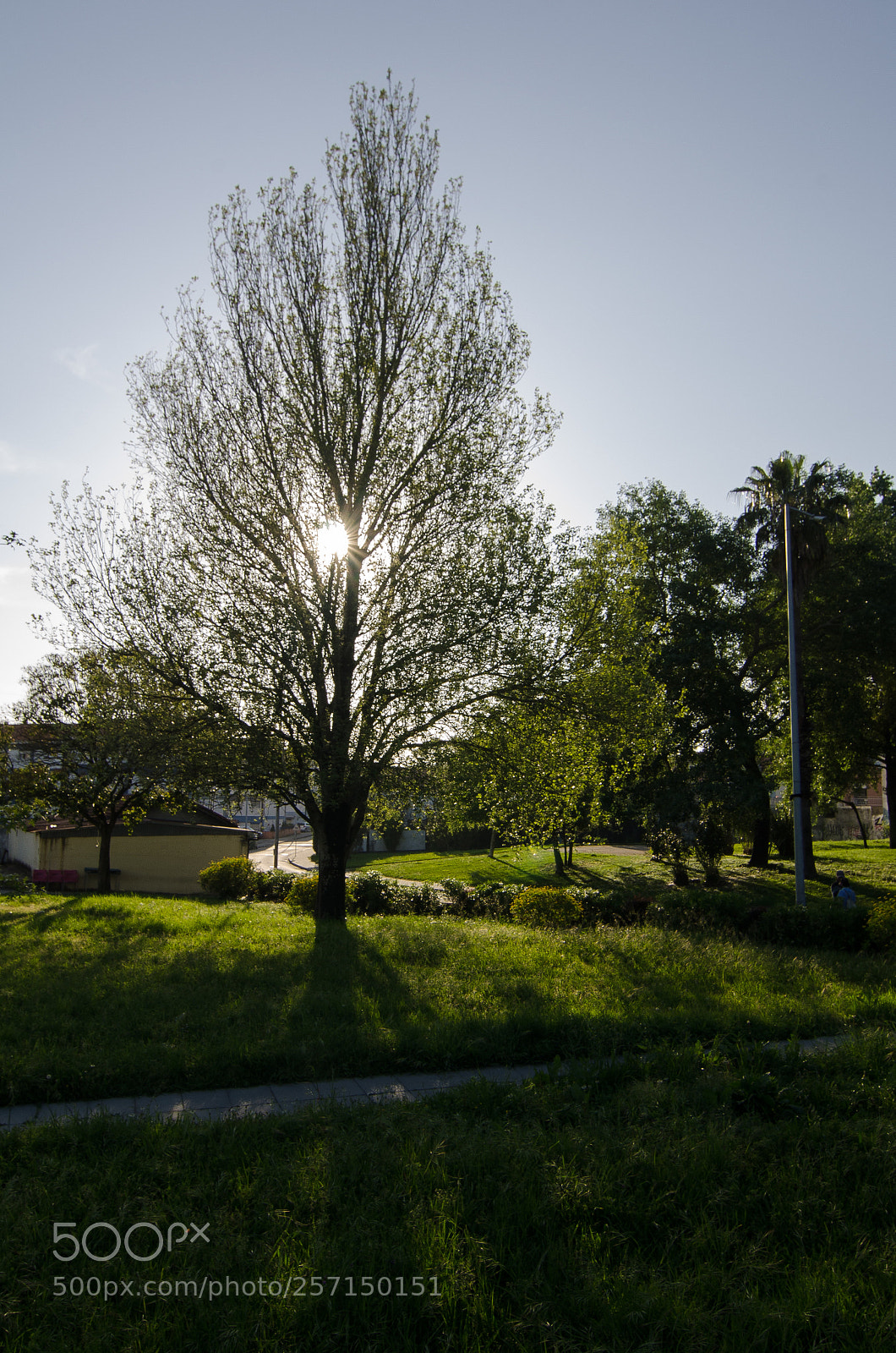 Nikon D7000 sample photo. Lush fields photography