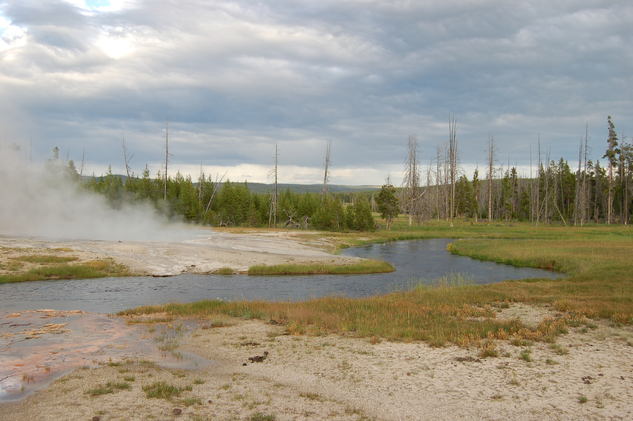 Nikon D50 sample photo. In yellowstone np photography