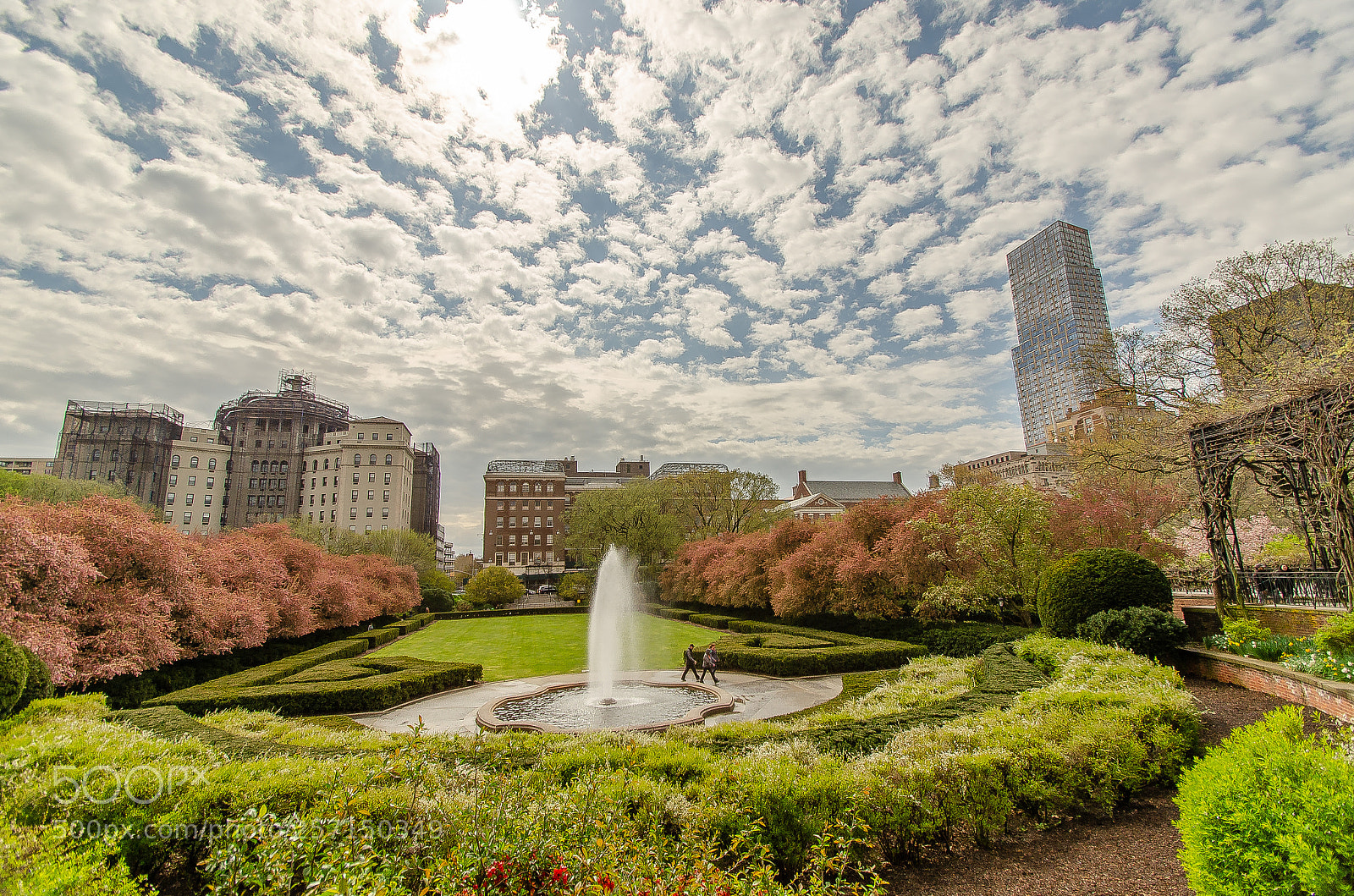 Nikon D7000 sample photo. A view in central photography