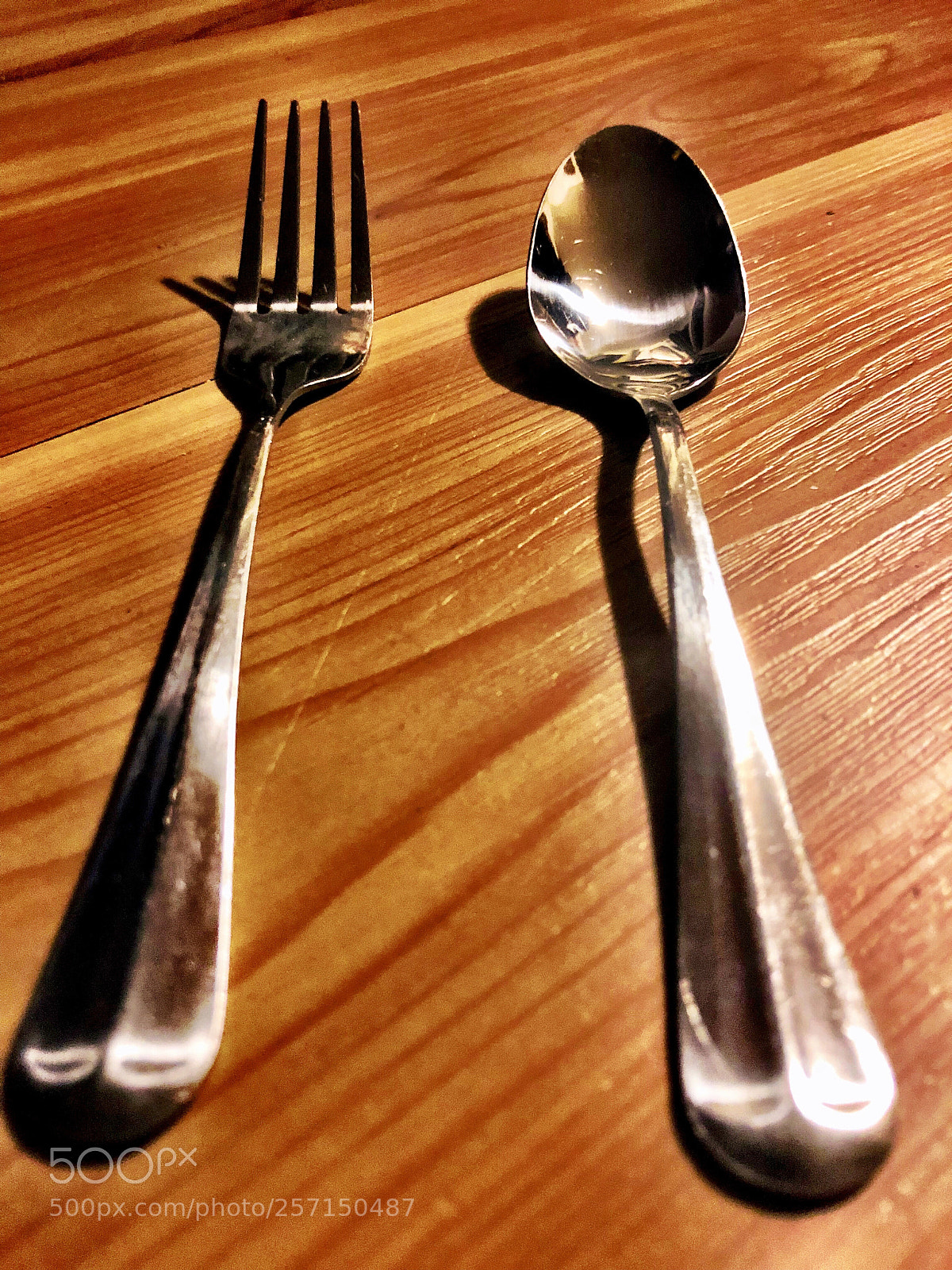 Apple iPhone 8 sample photo. Fraternal photography