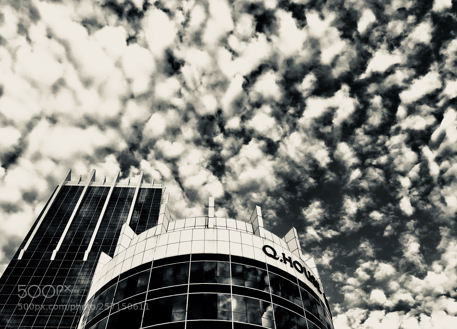 Apple iPhone SE sample photo. Q.house photography