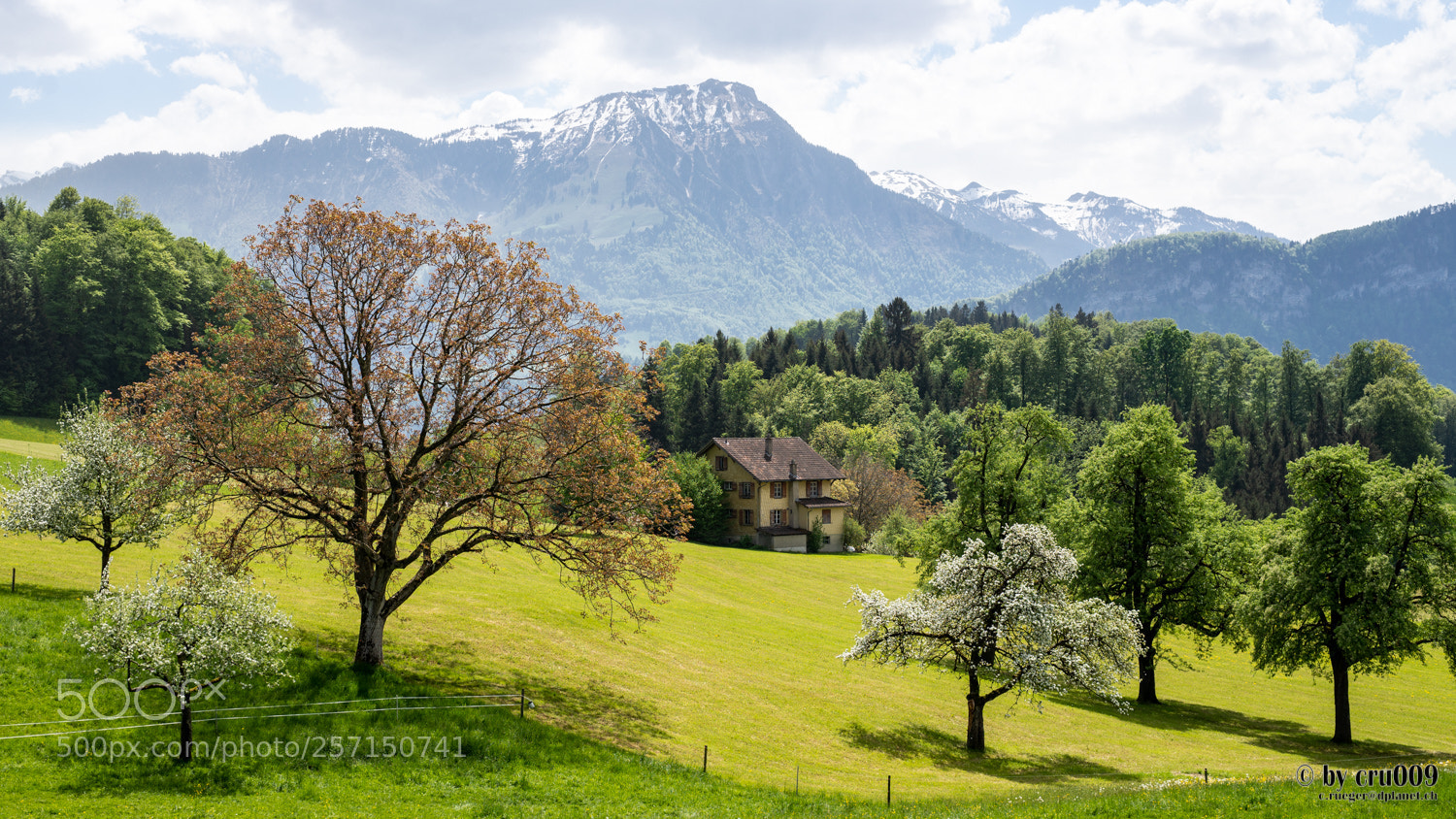 Nikon D610 sample photo. Peninsula horw - mount photography