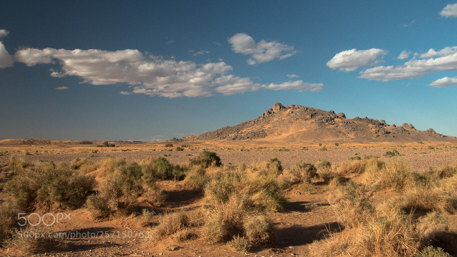 Canon EOS 70D sample photo. Treck savane photography