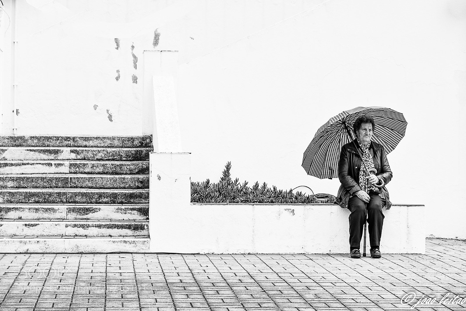Nikon D3300 sample photo. Waiting photography