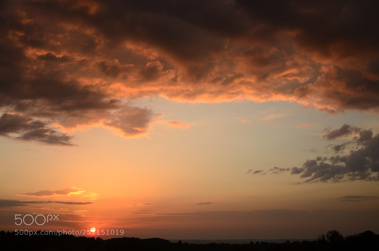 Nikon D5100 sample photo. 327 photography
