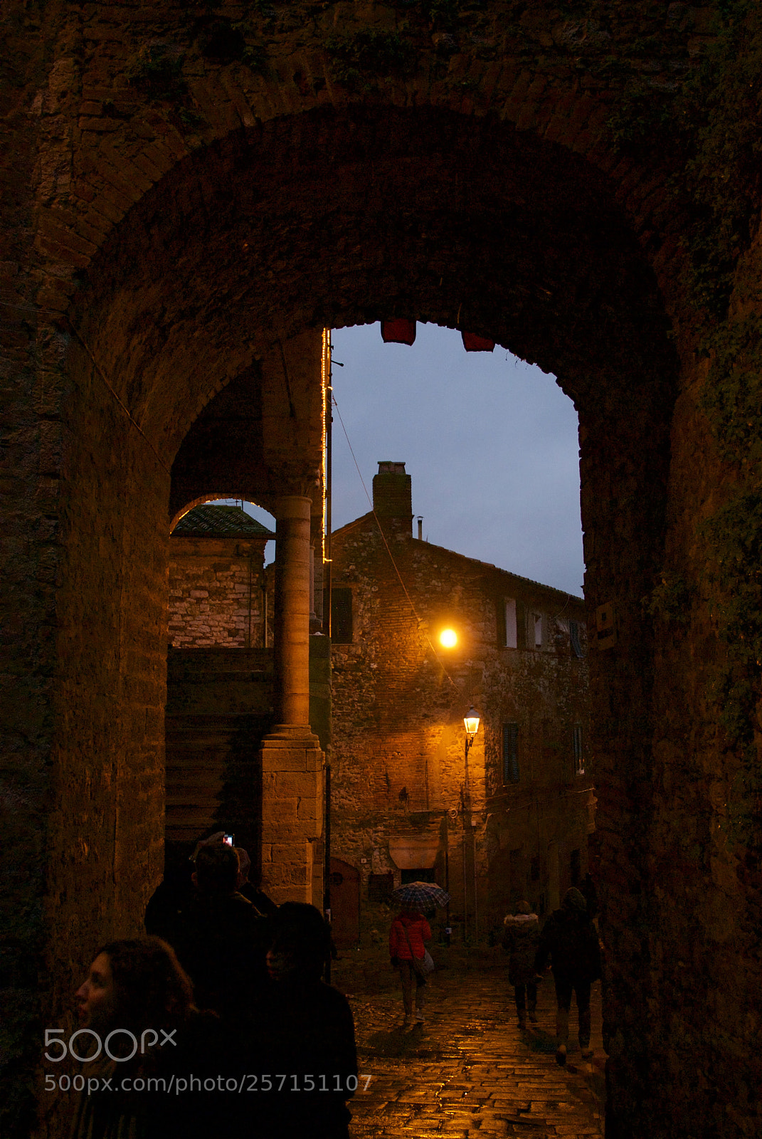 Nikon D60 sample photo. Version photography