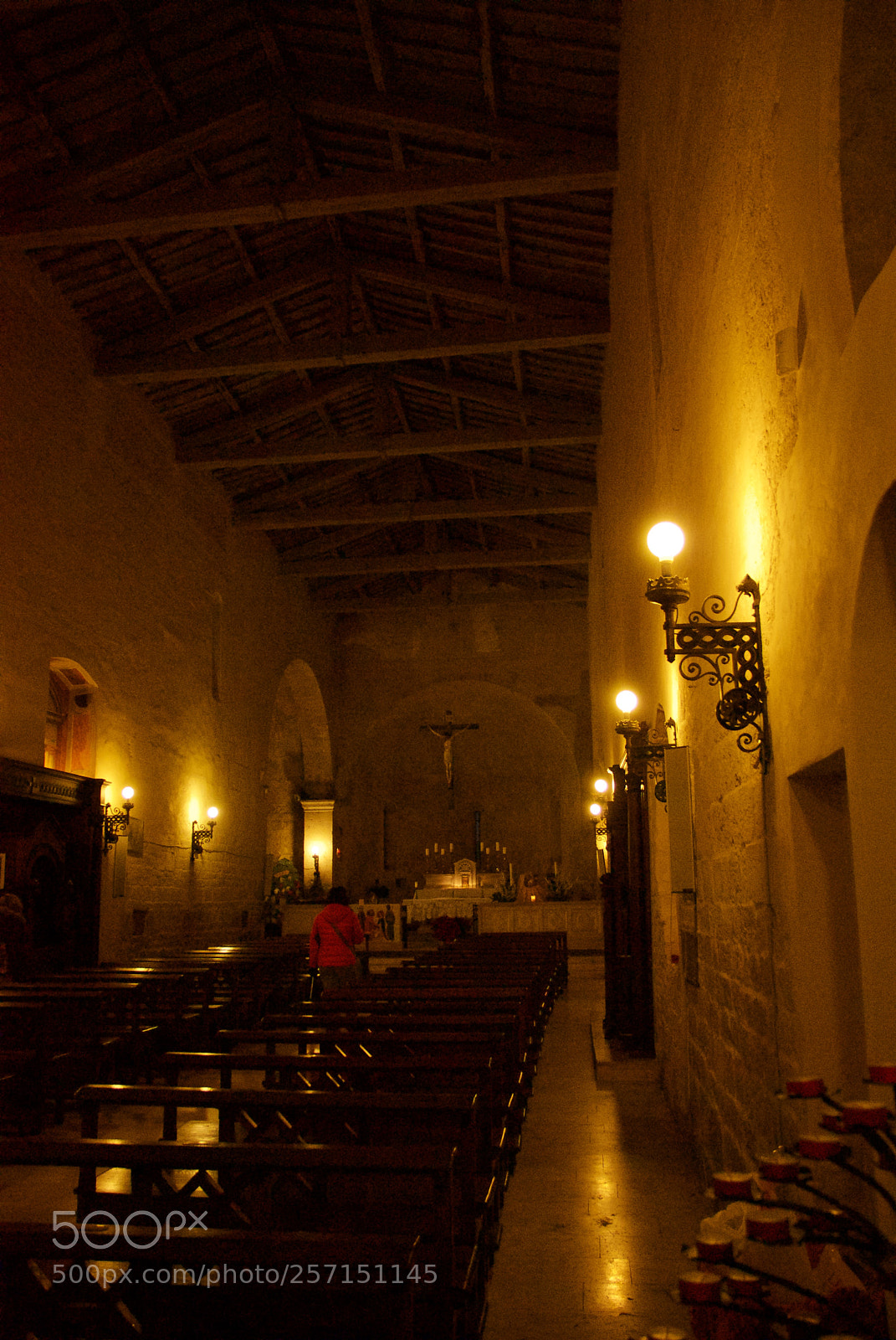 Nikon D60 sample photo. Version photography