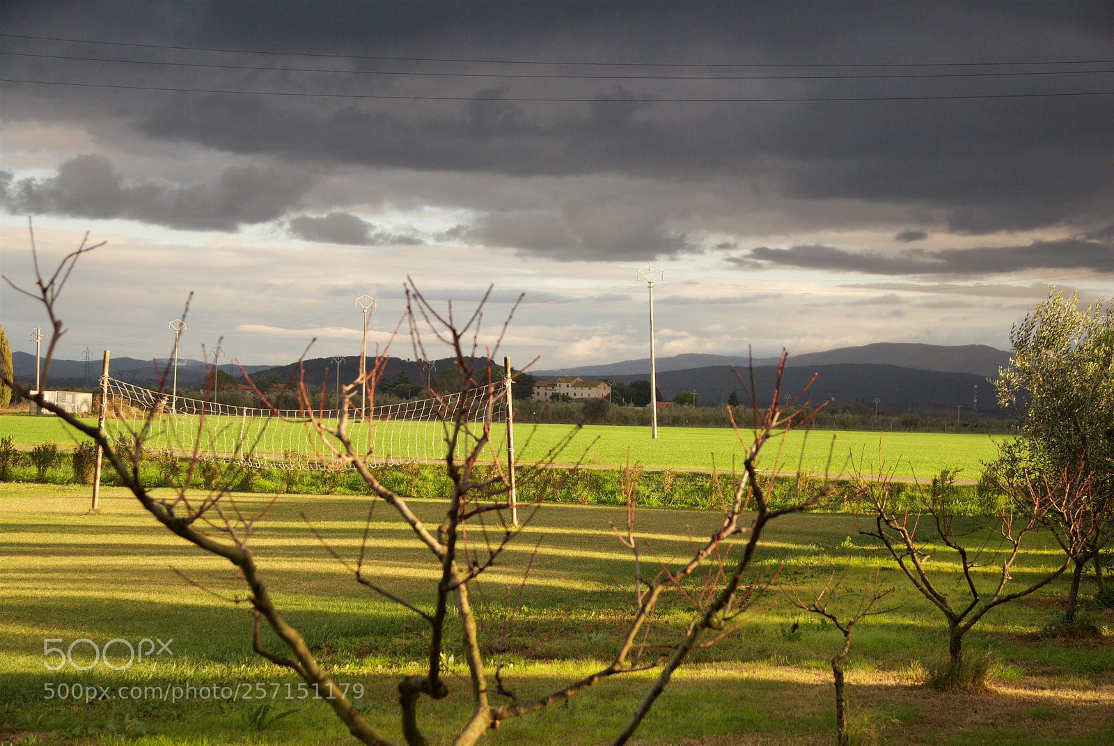 Nikon D60 sample photo. Version photography