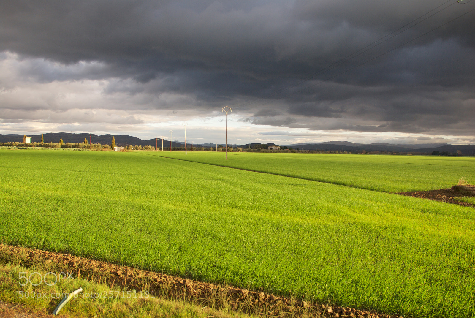Nikon D60 sample photo. Version photography