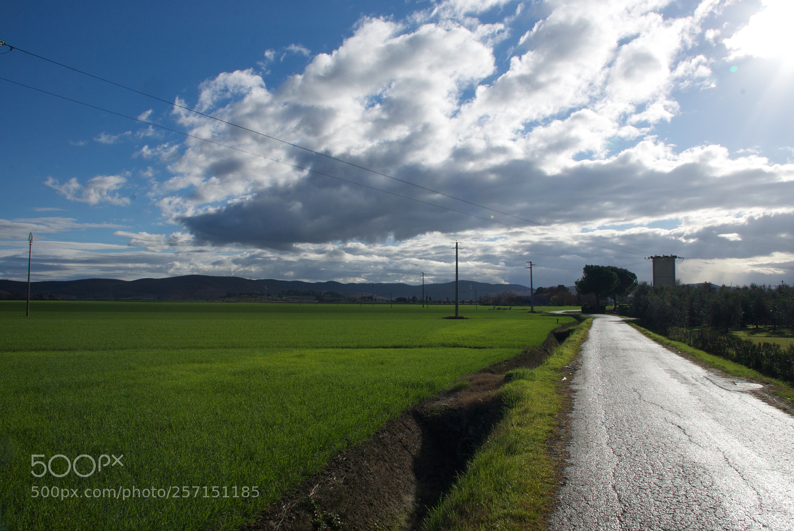 Nikon D60 sample photo. Version photography