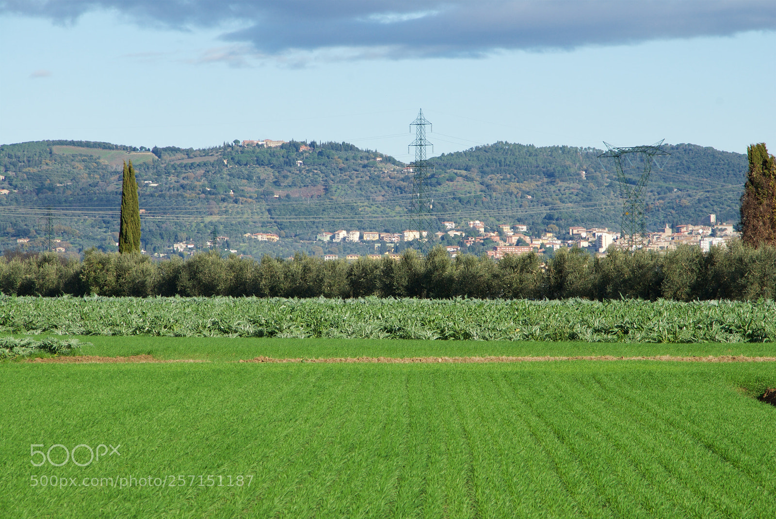 Nikon D60 sample photo. Version photography