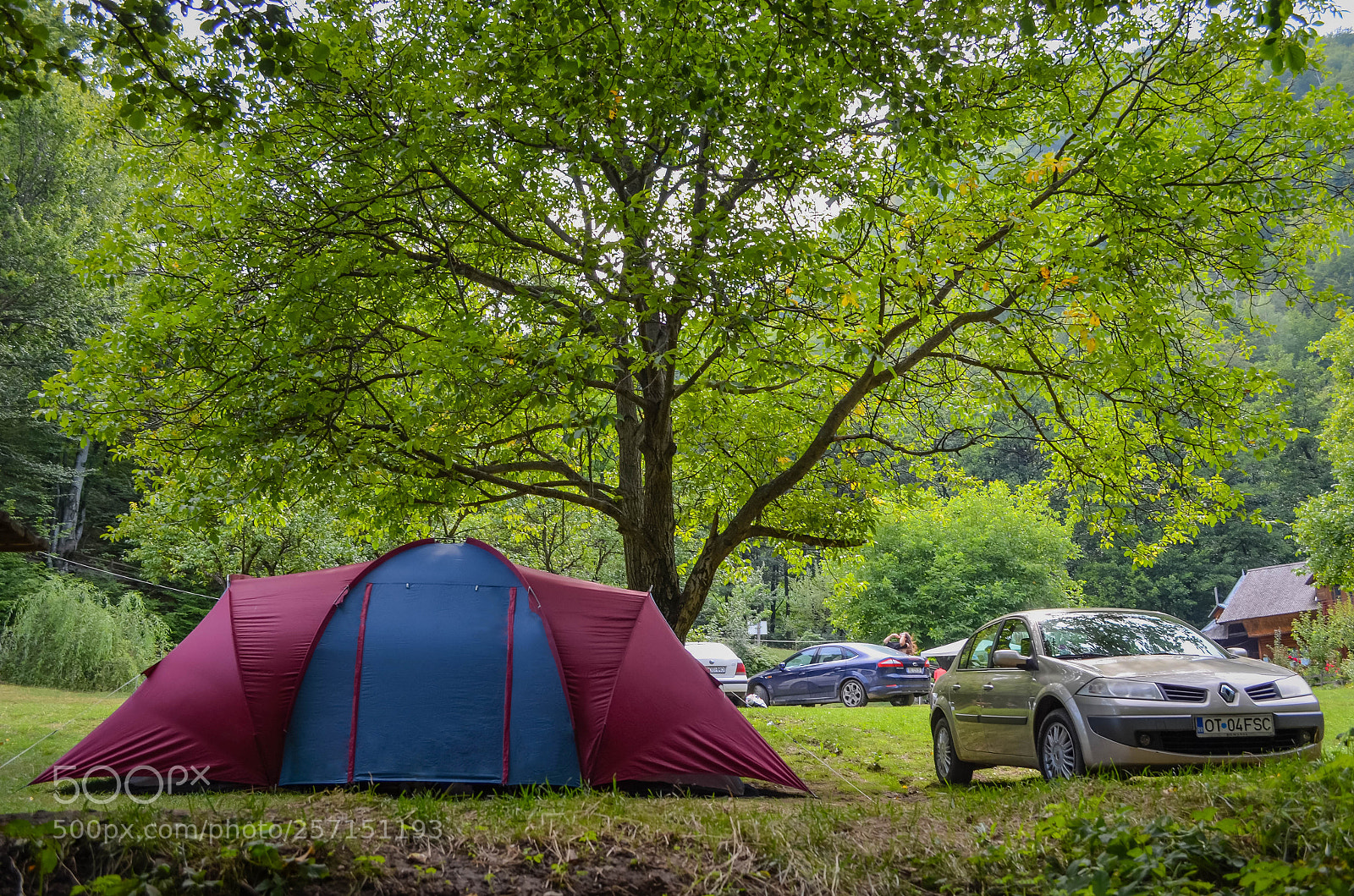 Nikon D5100 sample photo. Camping lifestyle photography