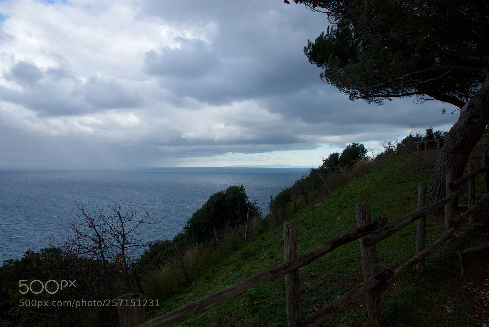 Nikon D60 sample photo. Version photography