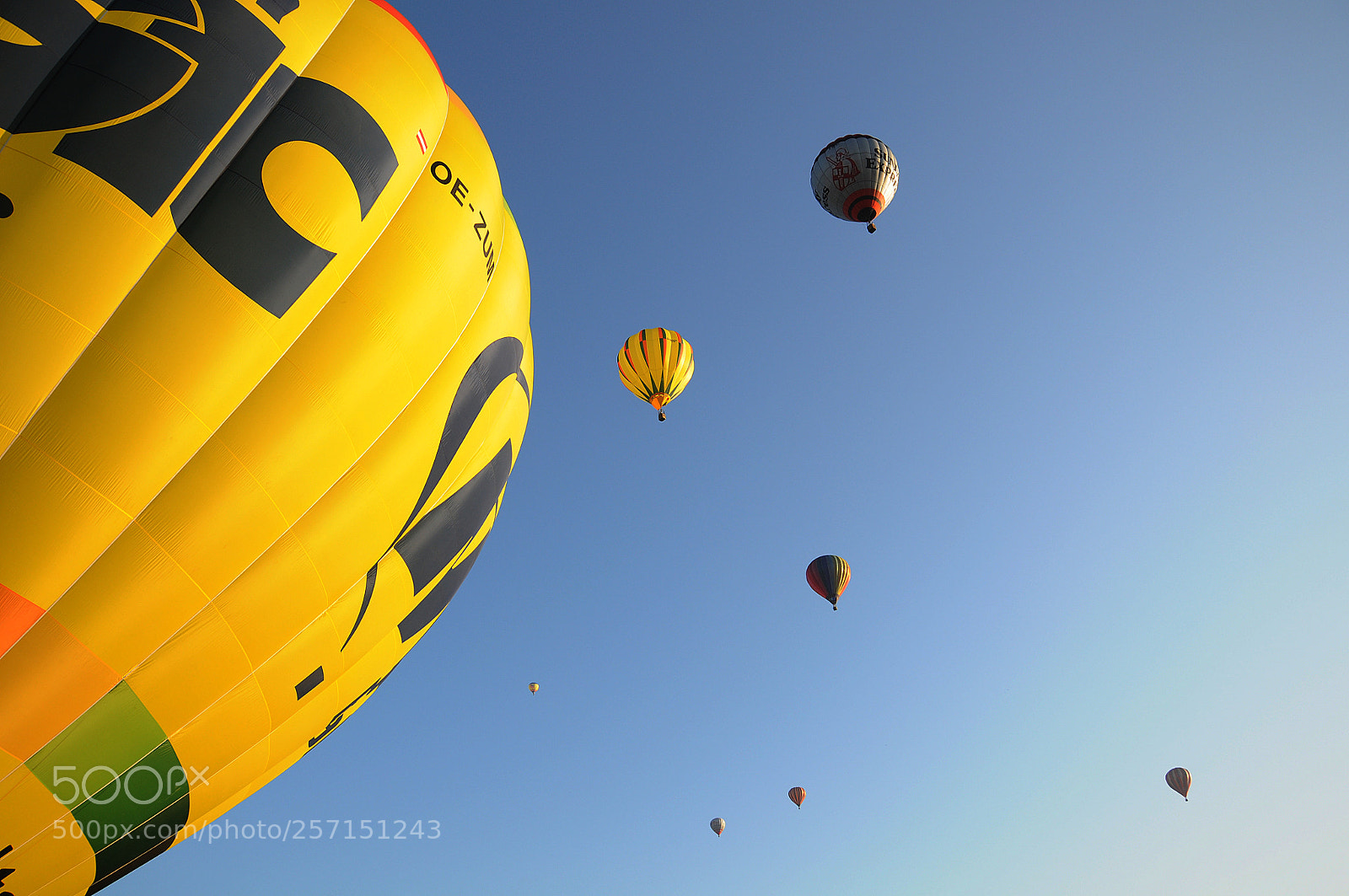Nikon D90 sample photo. Balloons photography