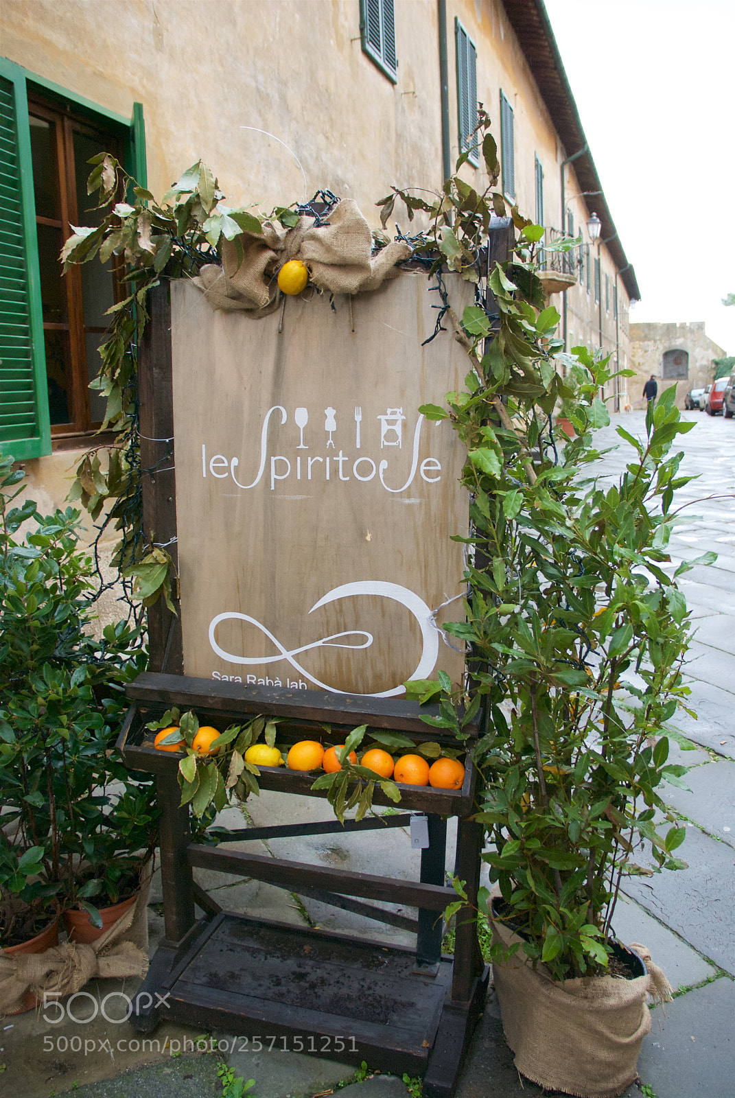Nikon D60 sample photo. Version photography