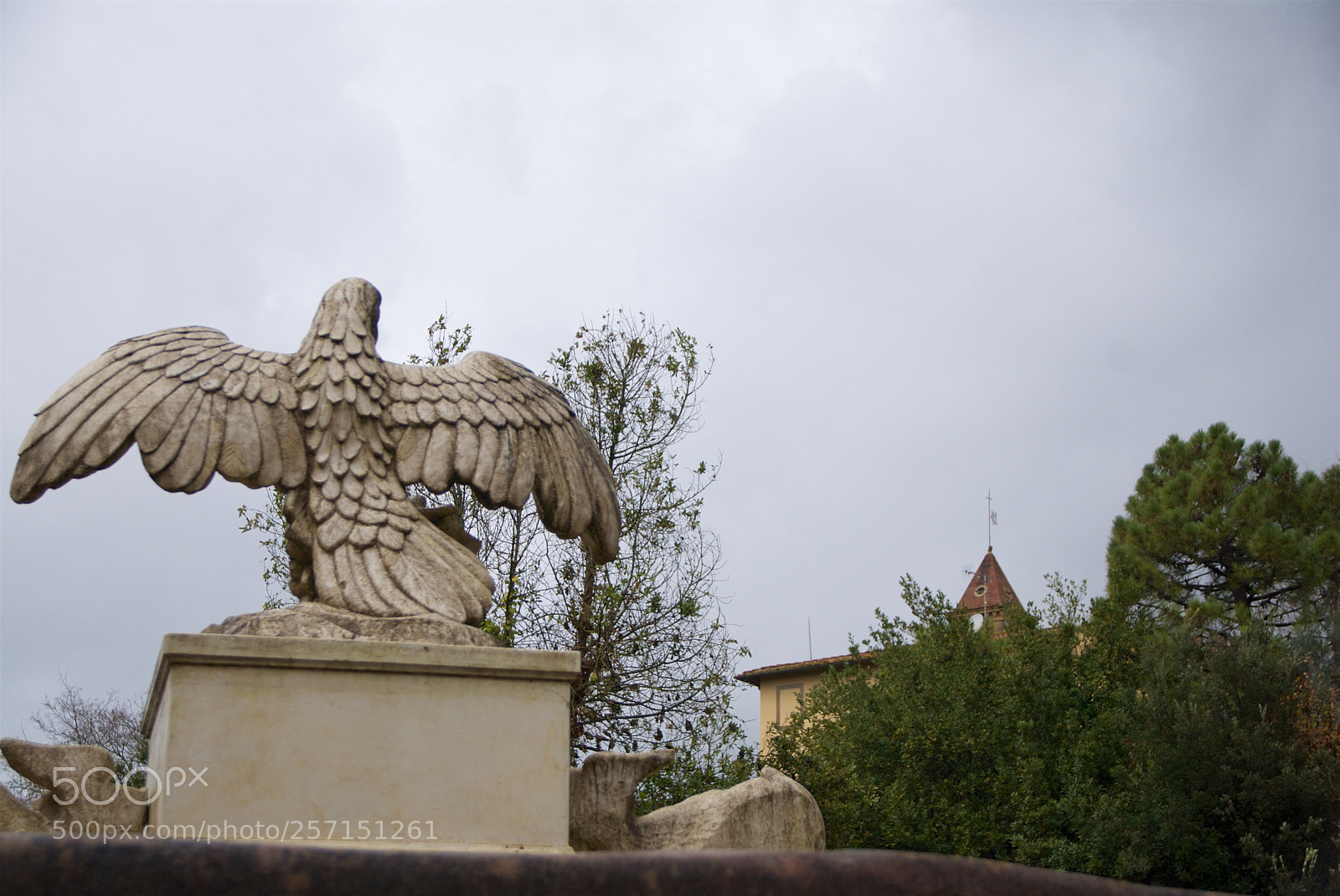 Nikon D60 sample photo. Version photography