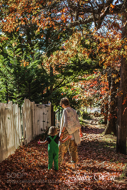 Nikon D850 sample photo. Autumn photography