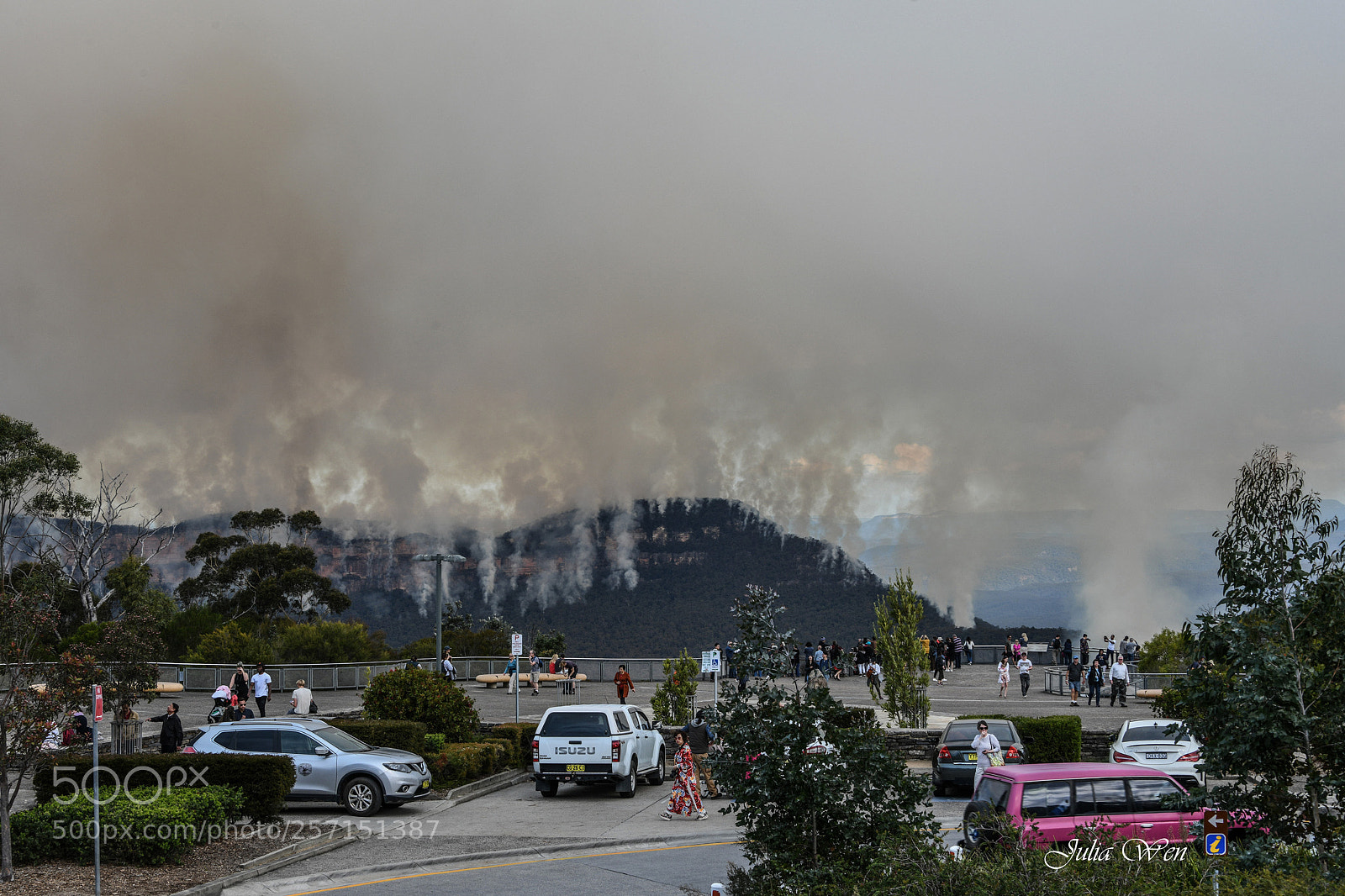 Nikon D850 sample photo. Back burning photography