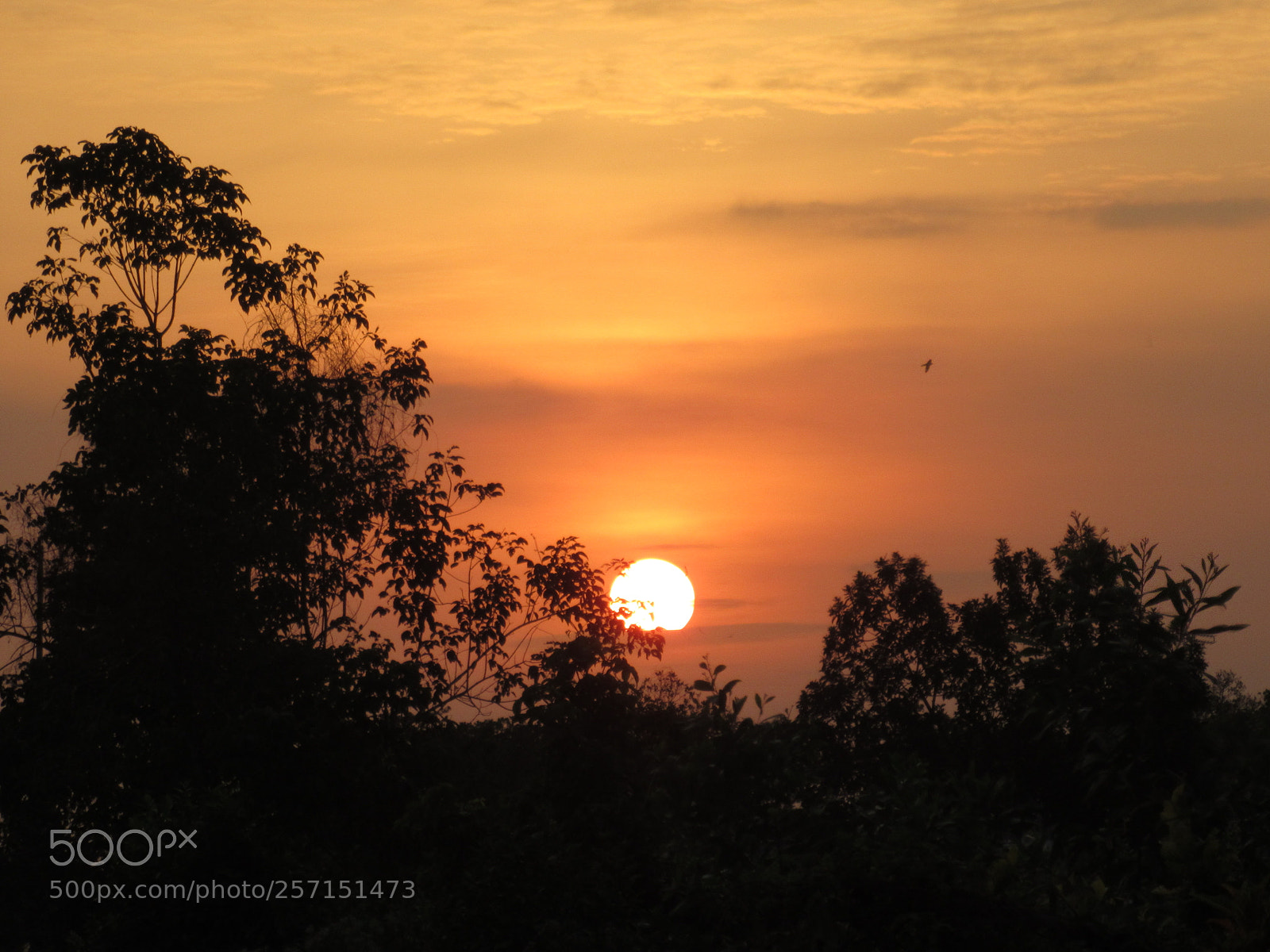 Canon PowerShot SX620 HS sample photo. Sunset photography