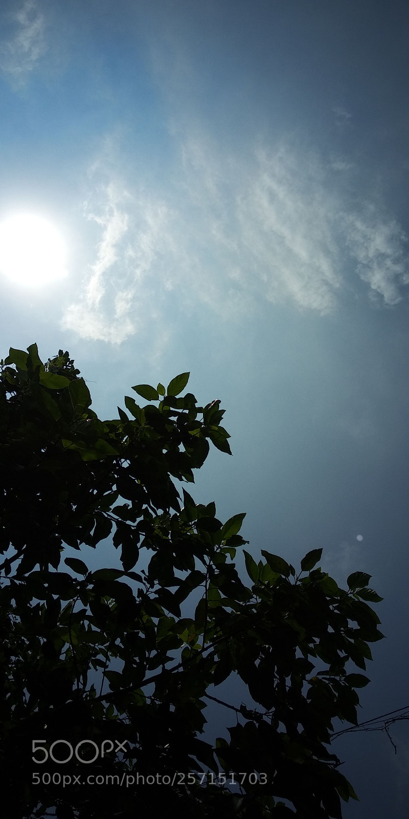 Xiaomi Redmi Note 5 sample photo. Untitled photography