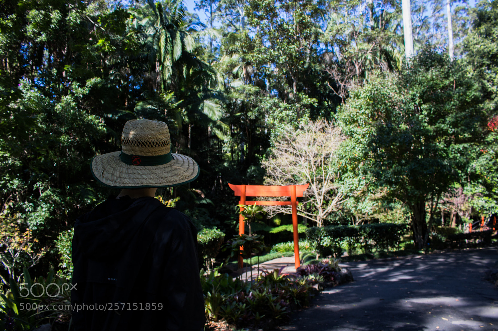 Canon EOS 750D (EOS Rebel T6i / EOS Kiss X8i) sample photo. Botanical gardens photography