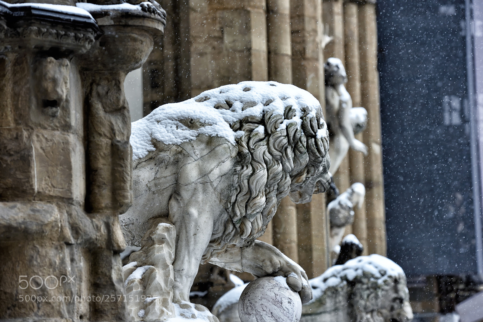 Nikon D810 sample photo. Florence white 2018 xviii photography