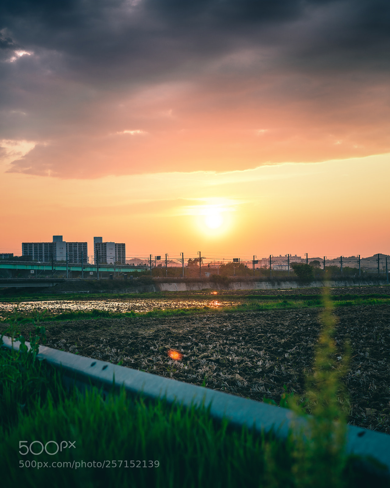 Sony a7R II sample photo. Untitled photography