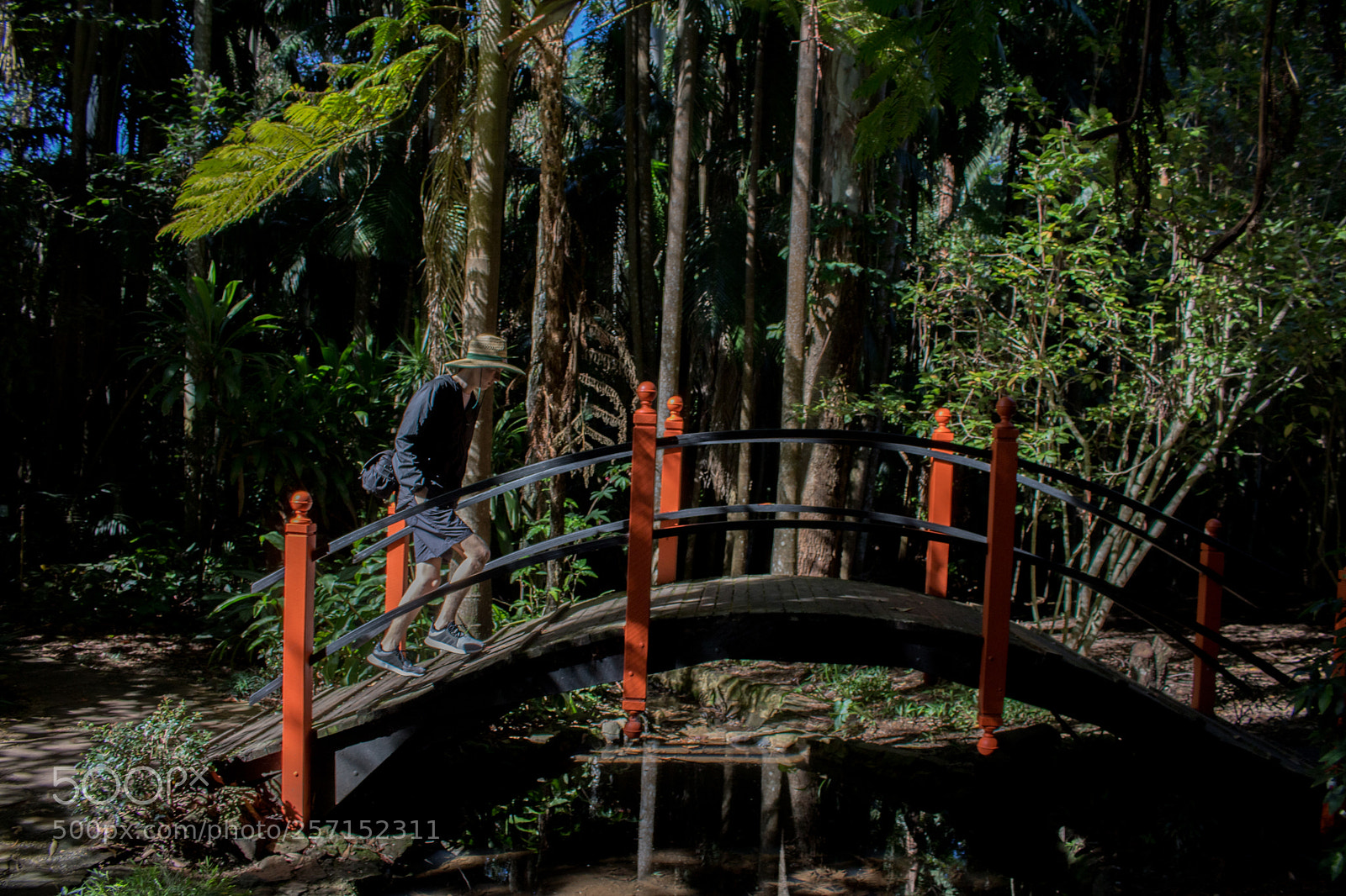 Canon EOS 750D (EOS Rebel T6i / EOS Kiss X8i) sample photo. Bridge photography