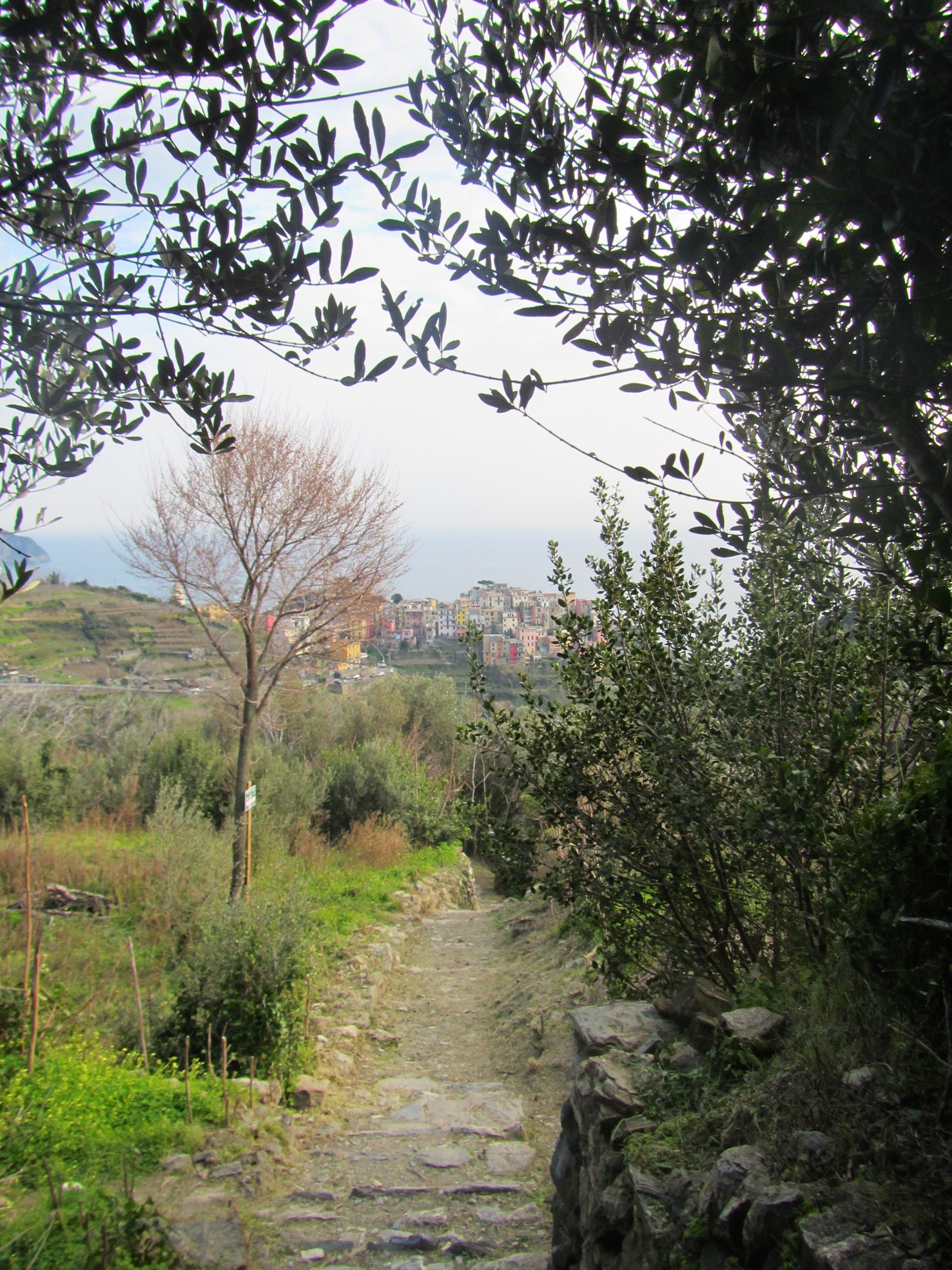 Canon PowerShot D30 sample photo. Version photography