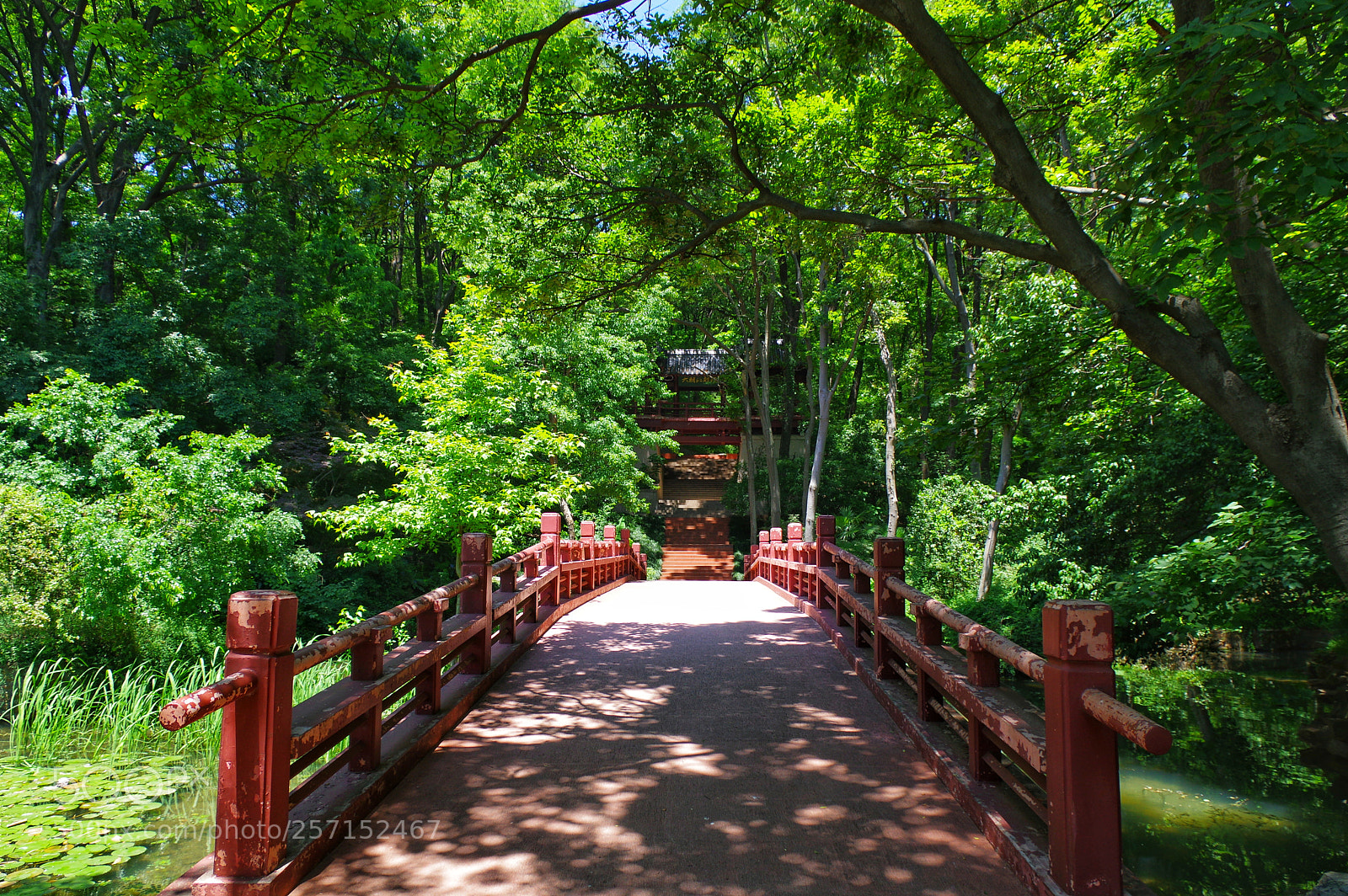 Pentax K-3 II sample photo. Untitled photography