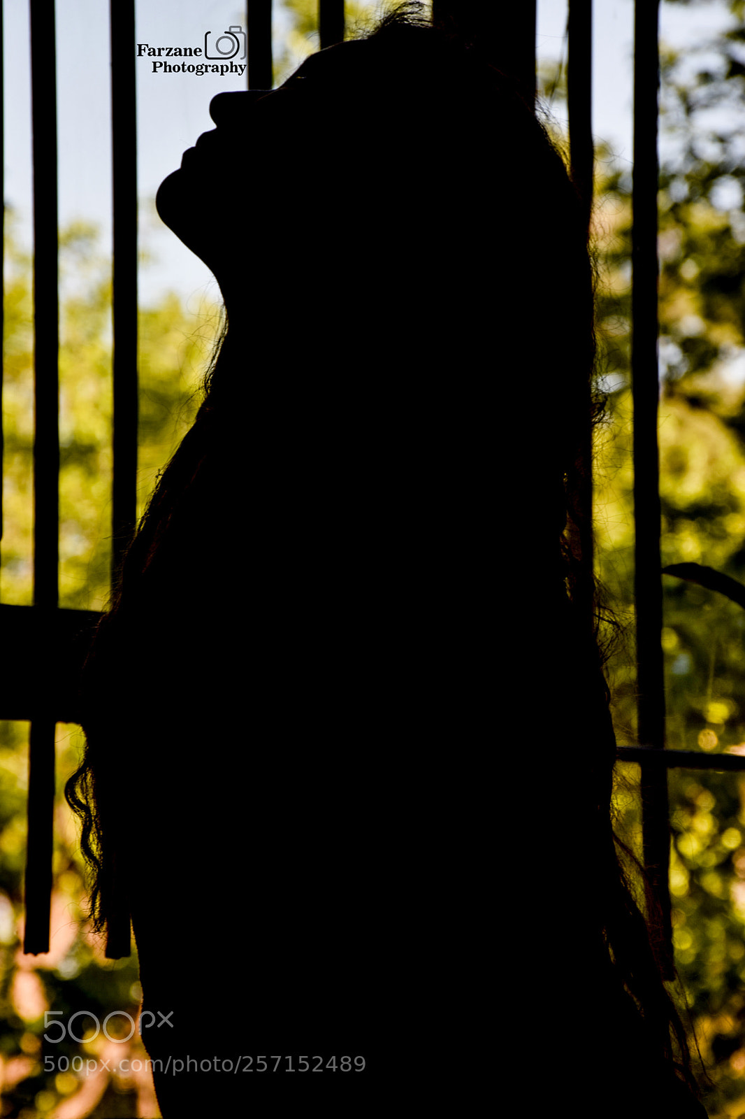 Nikon D5300 sample photo. Untitled photography
