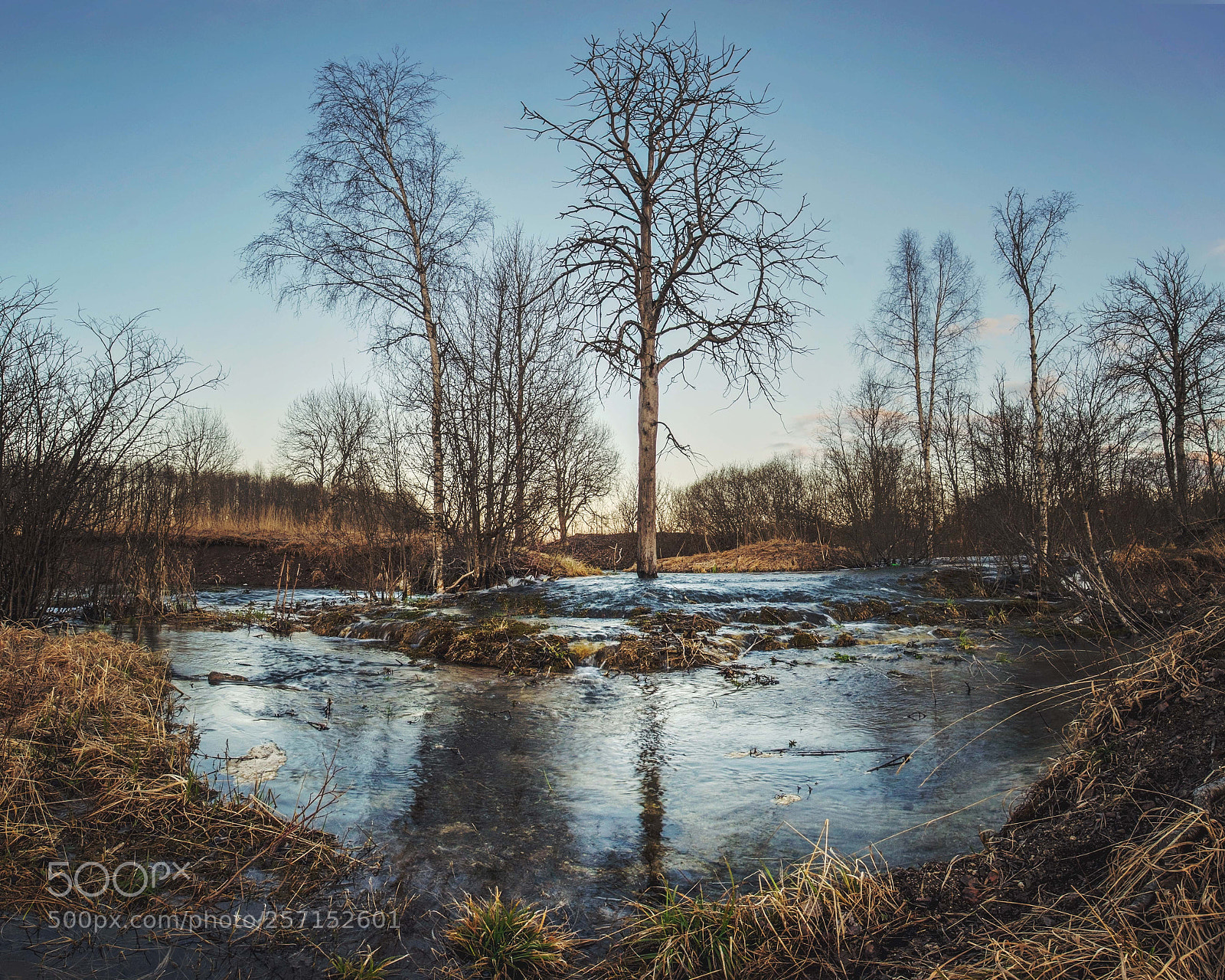 Pentax K-3 sample photo. Весенний разлив photography