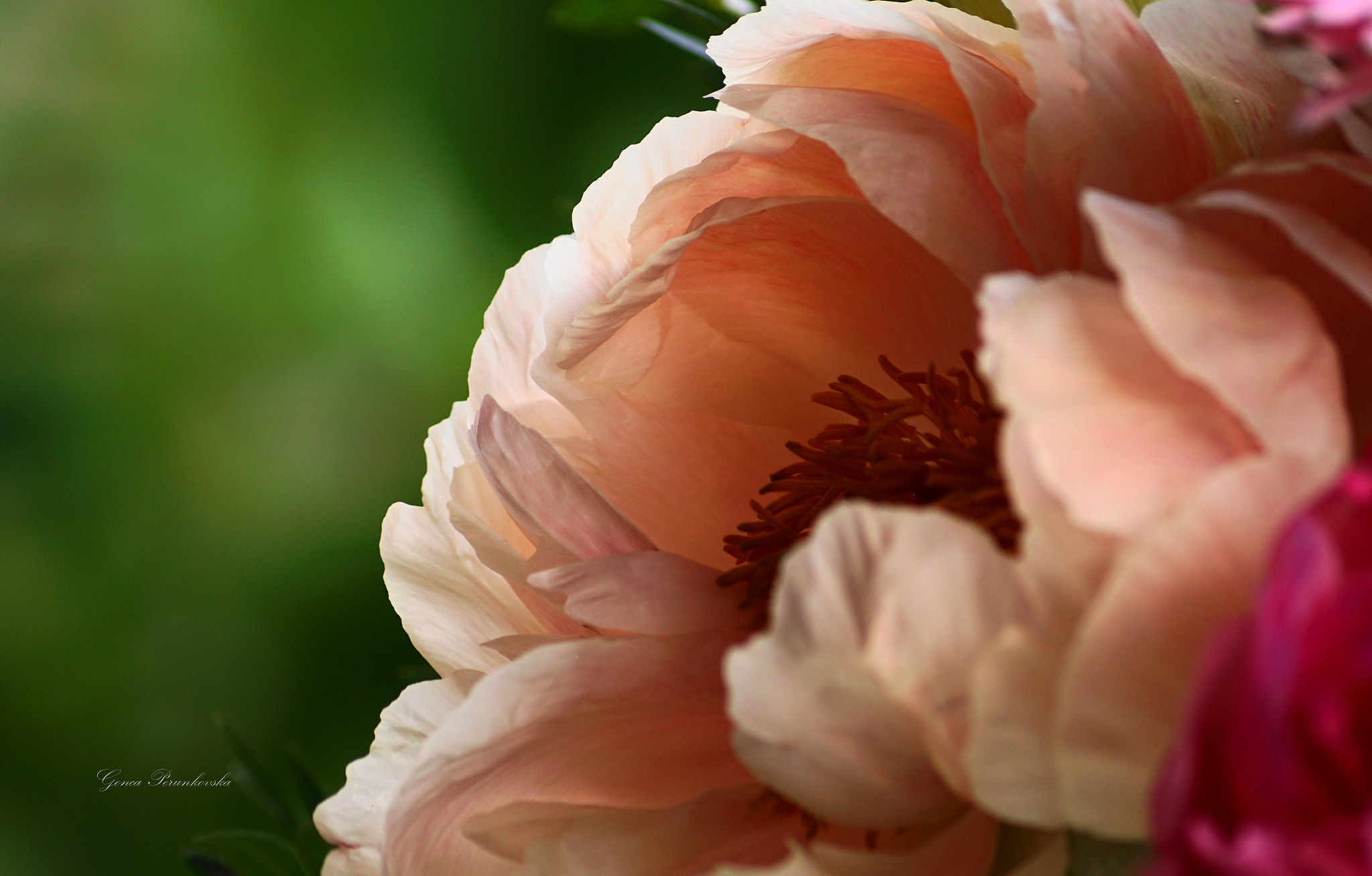Sony DT 55-200mm F4-5.6 SAM sample photo. Colors photography