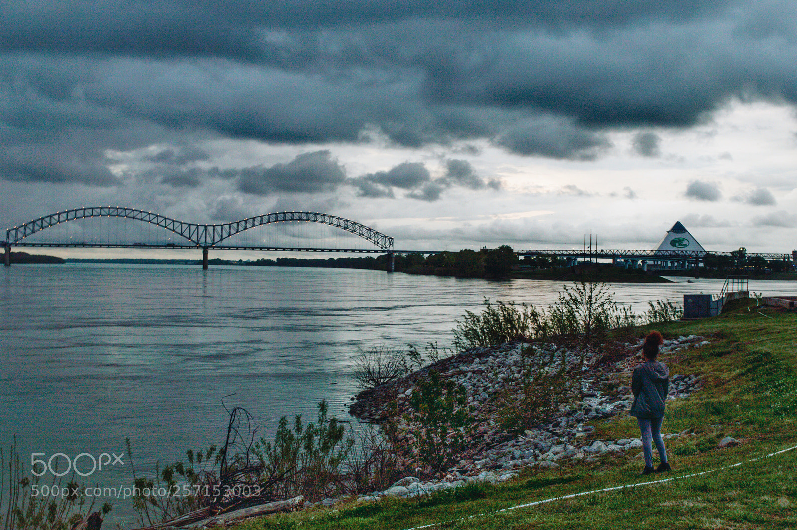 Nikon D3200 sample photo. Memphis gems photography