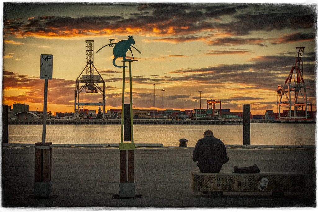 Rottnest Island - Perth's summer island playground by Paul Amyes on 500px.com