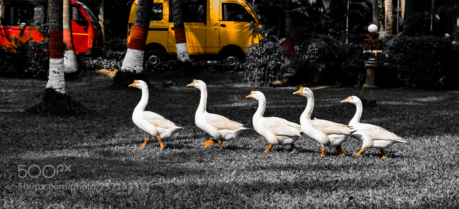 Nikon D3300 sample photo. In formation photography