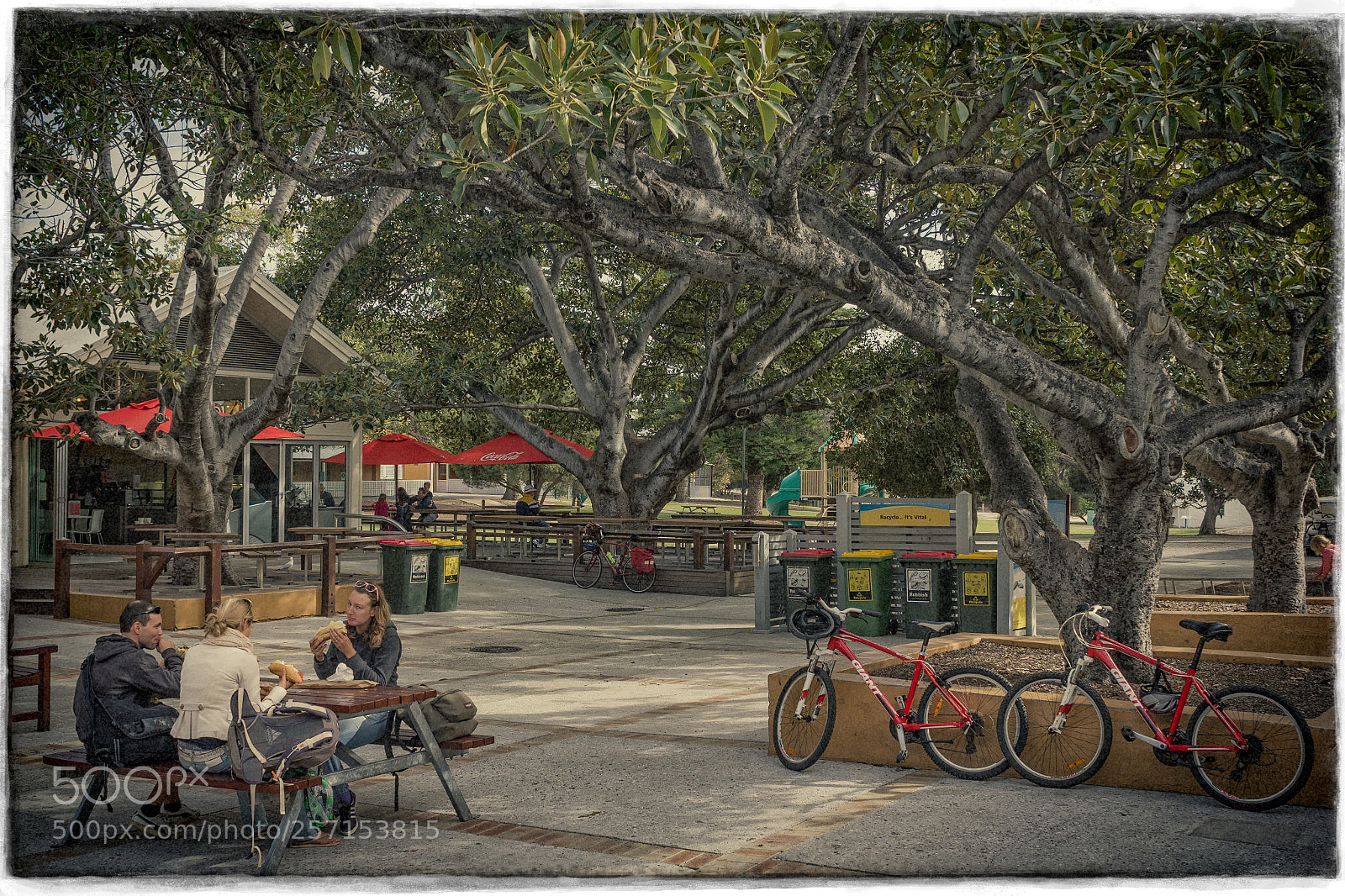 Canon EOS 550D (EOS Rebel T2i / EOS Kiss X4) sample photo. Rottnest island - perth's photography