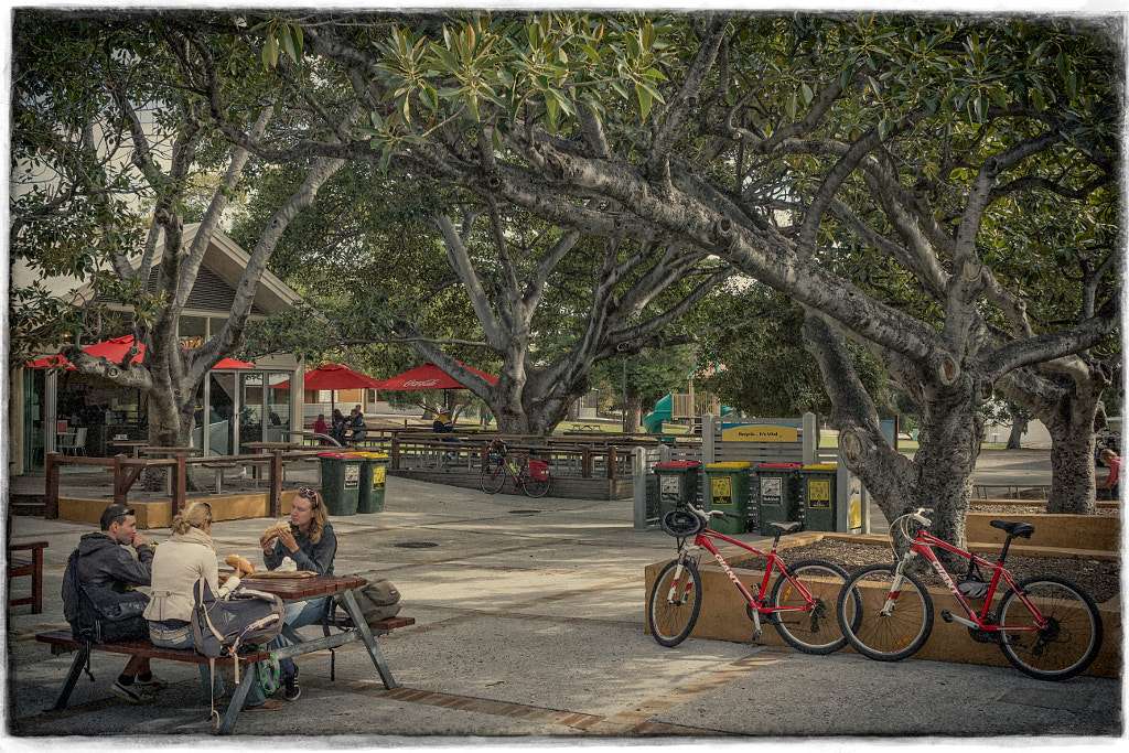 Rottnest Island - Perth's summer island playground by Paul Amyes on 500px.com