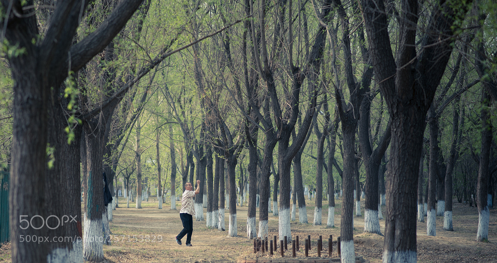 Nikon D750 sample photo. Kungfu photography