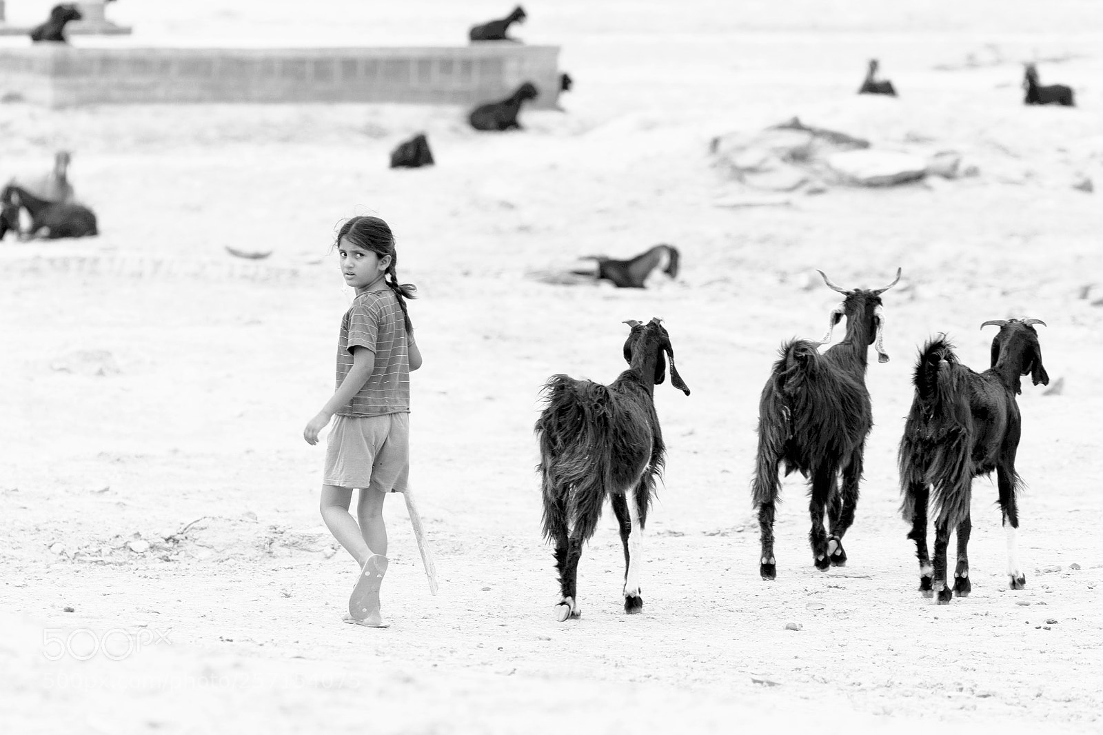 Canon EOS 6D sample photo. Young goat herder photography