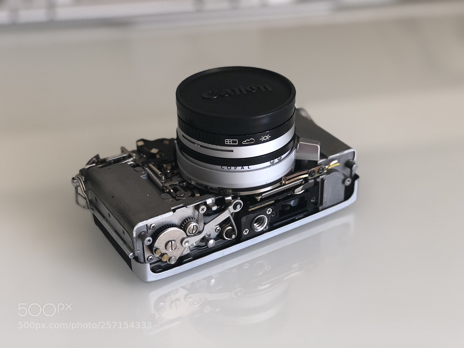 Apple iPhone 8 Plus sample photo. Naked canonet ql19 photography