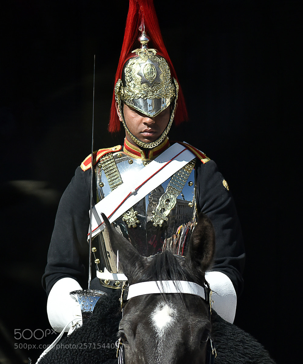 Nikon D750 sample photo. Horse guard photography