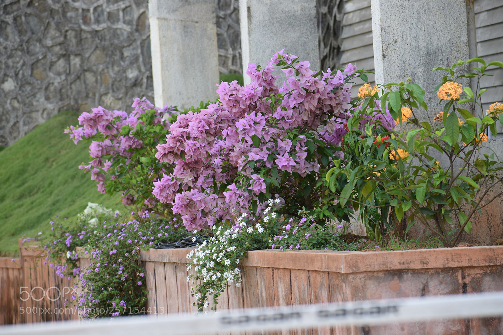 Nikon D3300 sample photo. Dsc photography