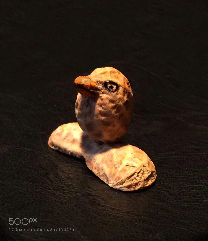 Apple iPhone 5s sample photo. Untitled photography