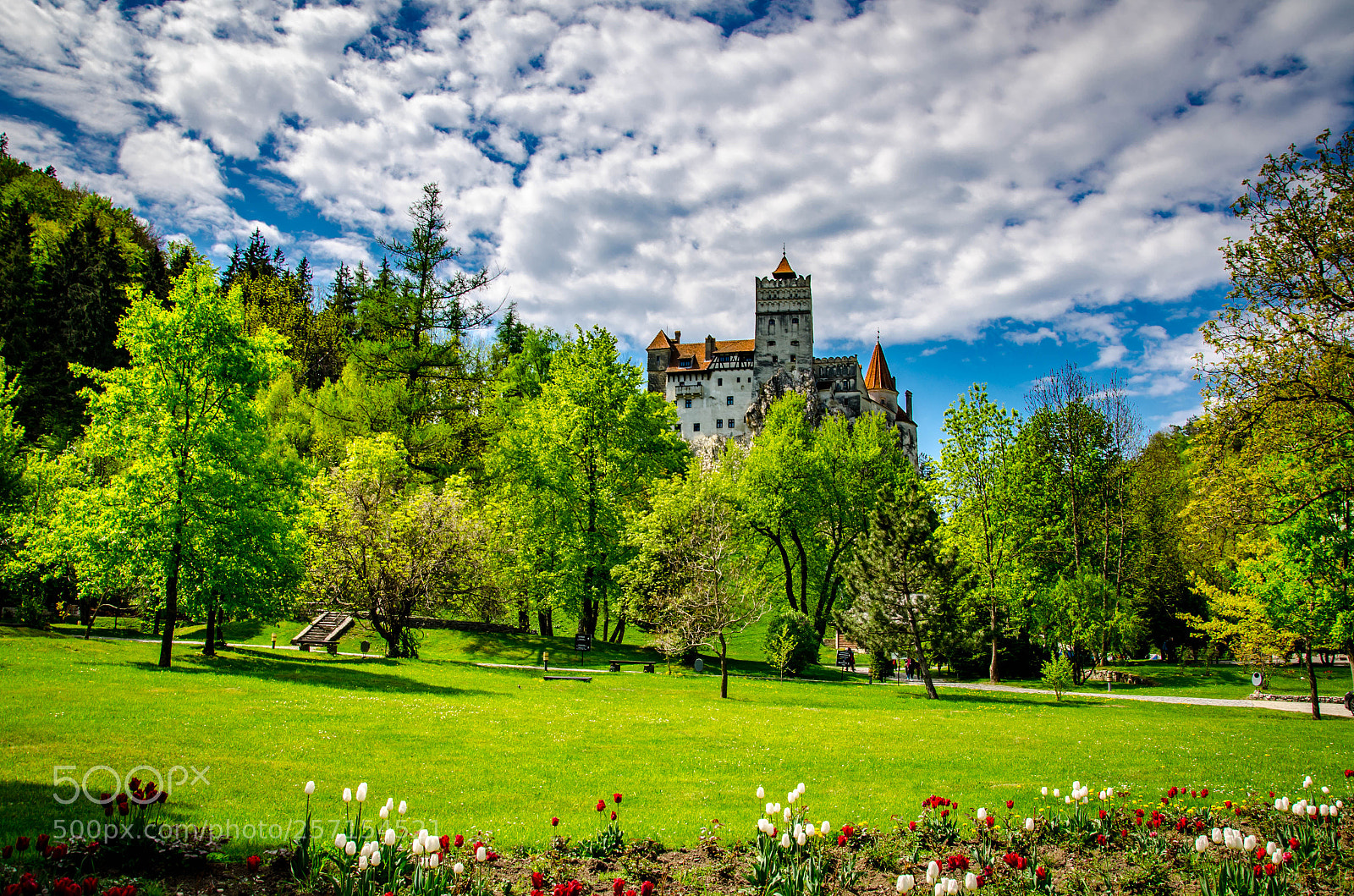Nikon D5100 sample photo. Bran castle photography