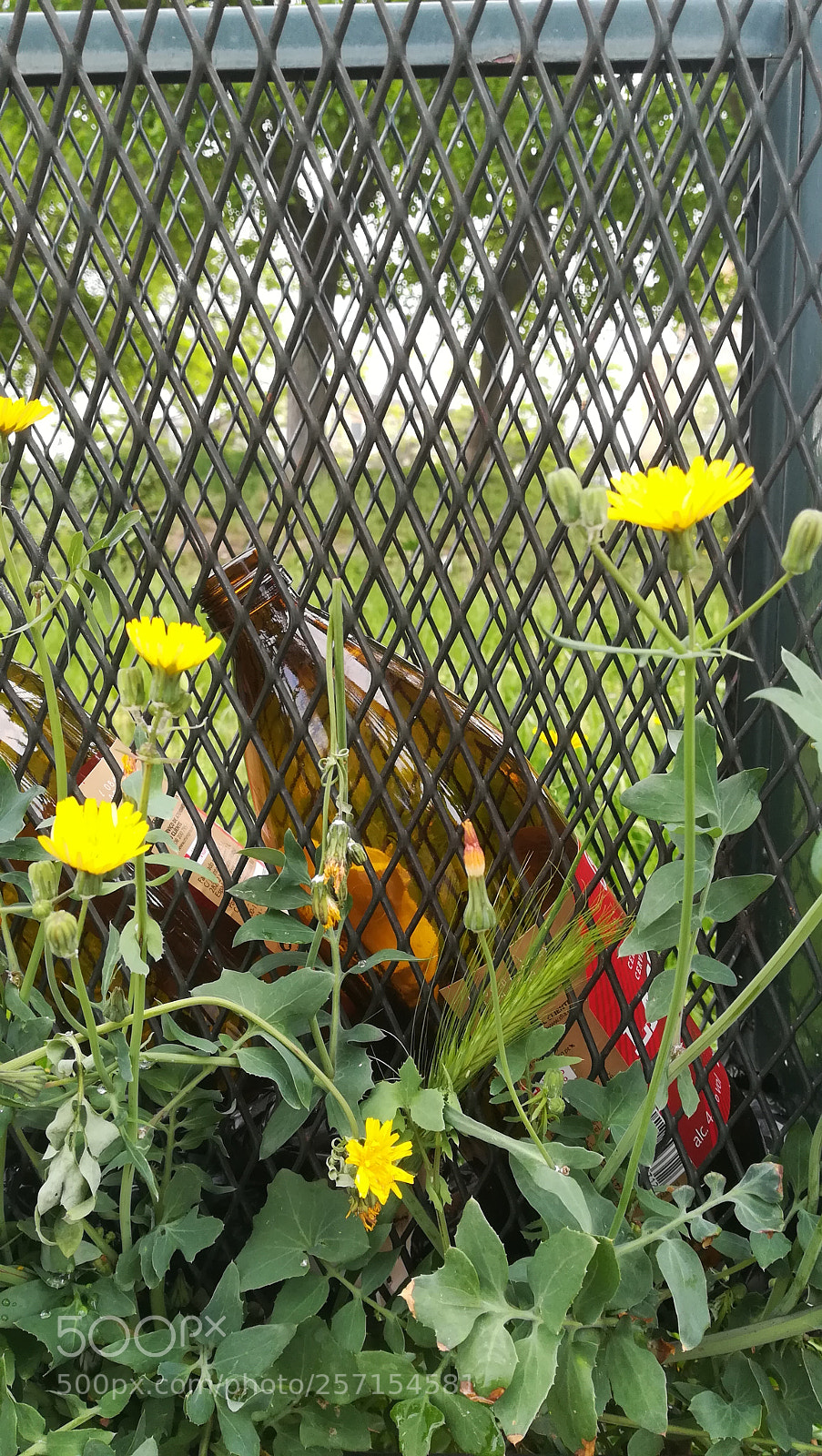 HUAWEI PRA-LX1 sample photo. The remains of the photography