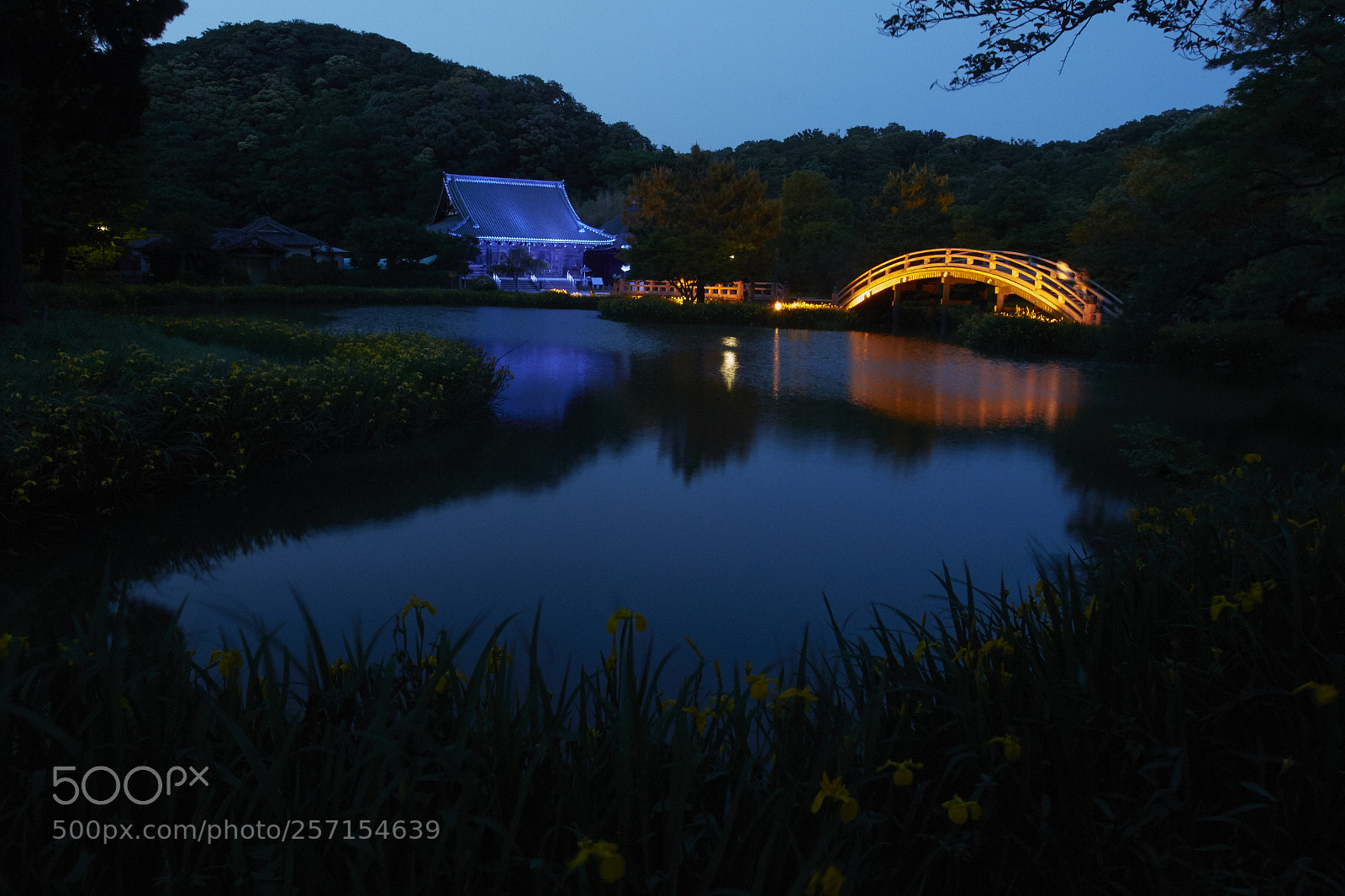 Canon EOS 70D sample photo. 幽玄 (the subtle and profound) photography