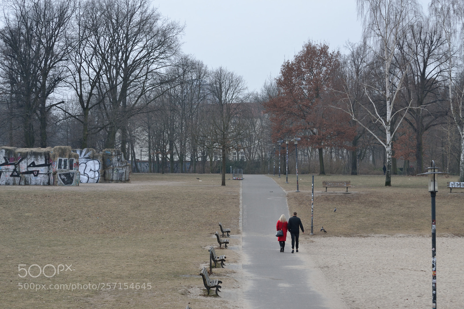 Nikon D3100 sample photo. It was a grey photography