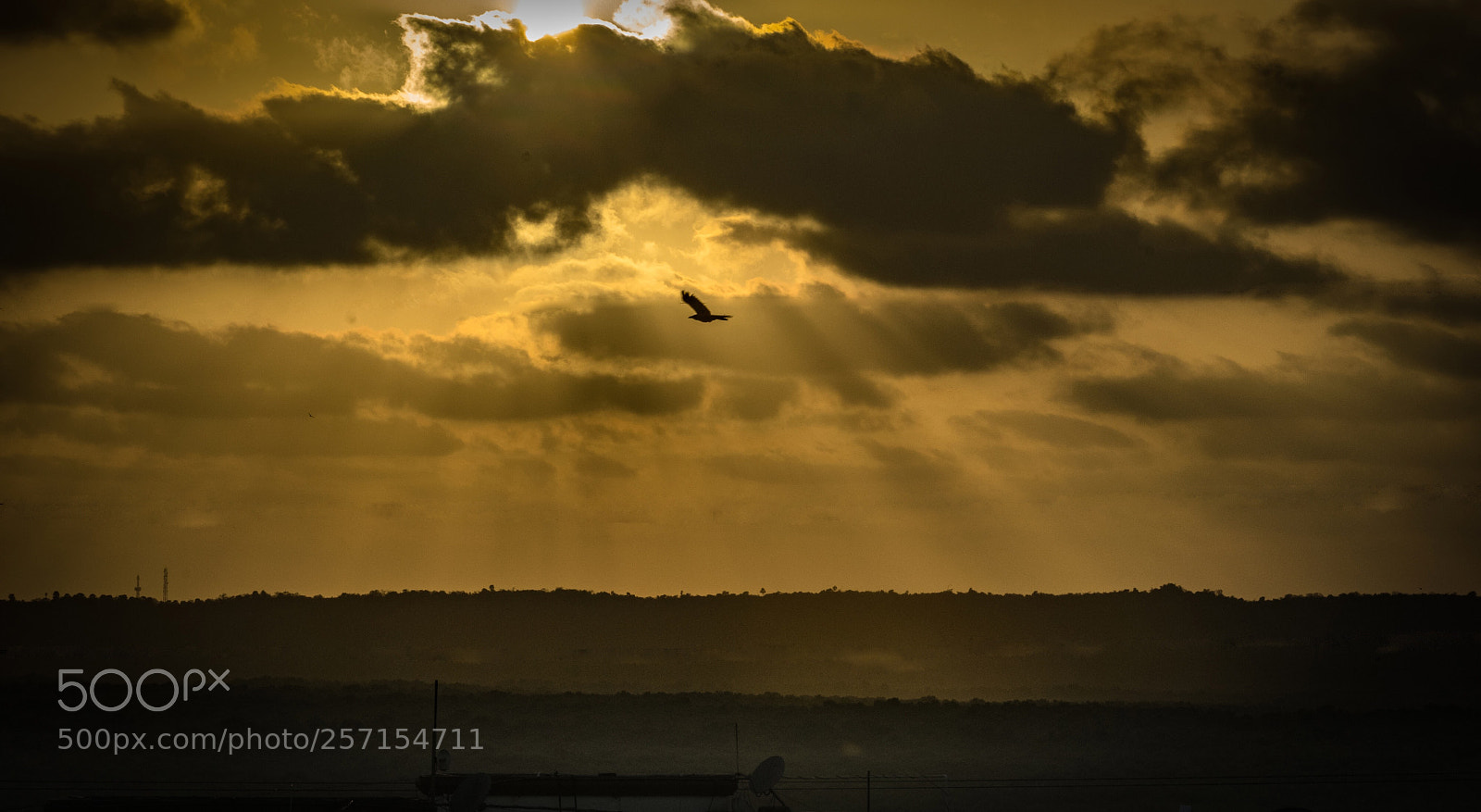 Nikon D5300 sample photo. Rays of gold !!! photography